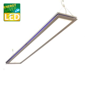 LED Büroleuchte SUSI